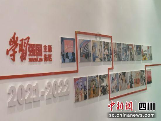 逃离天鹅森林